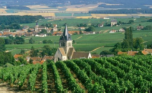 兰斯山产区(Montagne de Reims) 兰斯山产区(Montagne de Reims)