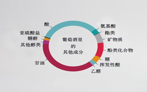 葡萄酒里的成分有哪些? 葡萄酒里的成分有哪些?