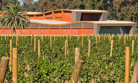 活灵魂酒庄(Almaviva Winery) 活灵魂酒庄(Almaviva Winery)