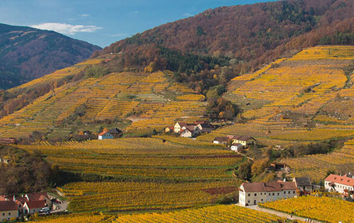 瓦豪（Wachau）成为奥地利第15个DAC产区